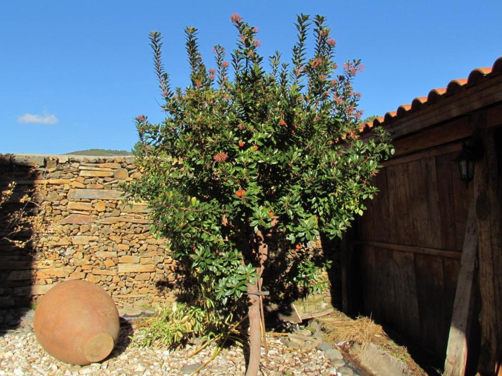 Apartamentos Rurales Azabal Rum bild